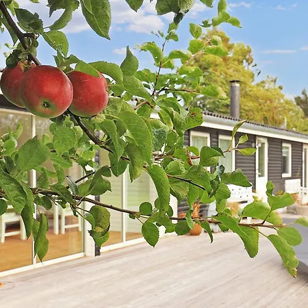 Dom wakacyjny 4 Star In Stege-by Traum