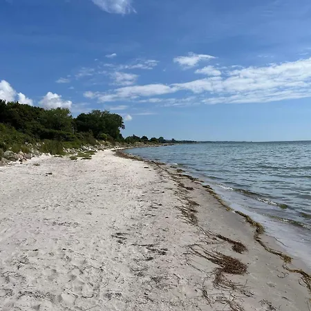 4 Star In Stege-by Traum