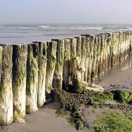 4 Star In Stege-by Traum